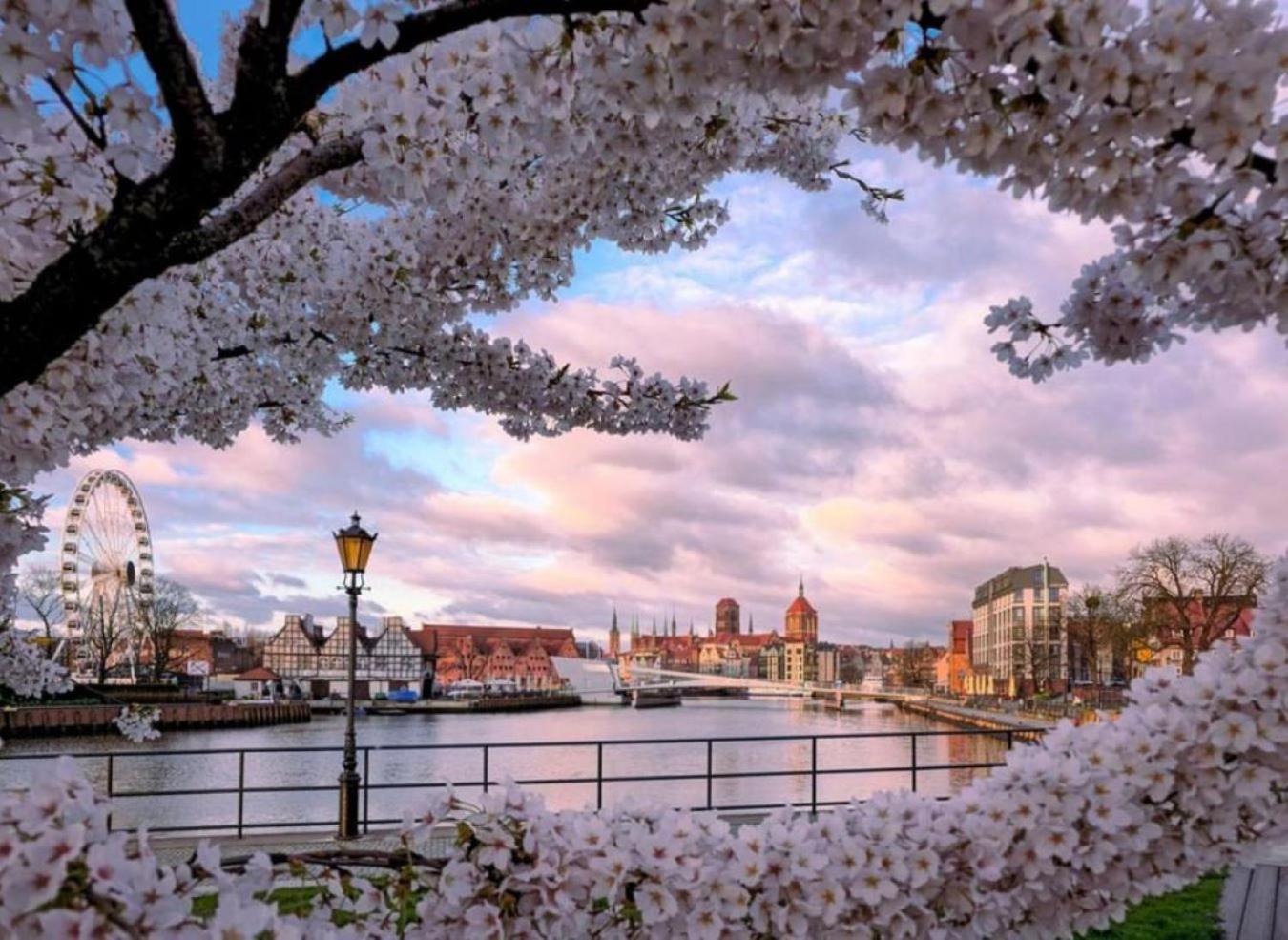 Baltic Old Town Hotel apartamentowy Gdańsk